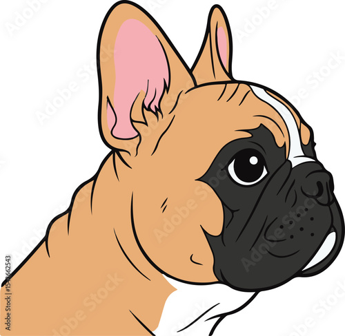 french bulldog portrait