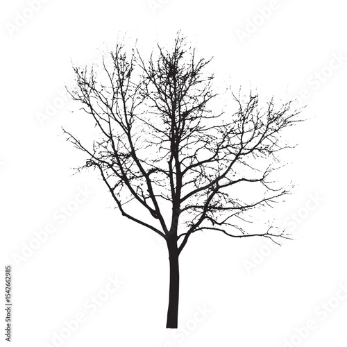 Monochrome Aspen Tree Silhouette Clip Art