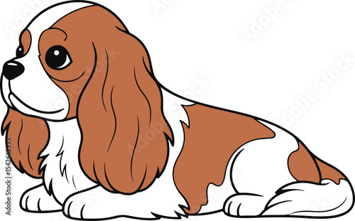 Cavalier King Charles Spaniel dog