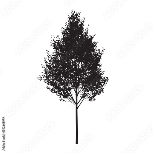Nature Element Aspen Tree Silhouette Drawing