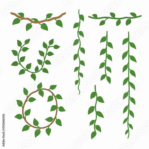 Jungle liana plants. Rainforest liana vines, tropical climbing ivy creepers, exotic ivy creeper flat vector illustration. Cartoon evergreen climbing plant