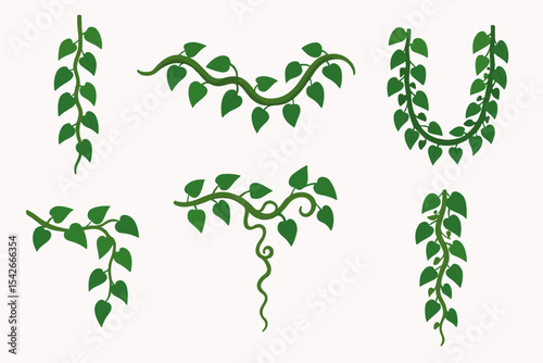 Jungle liana plants. Rainforest liana vines, tropical climbing ivy creepers, exotic ivy creeper flat vector illustration. Cartoon evergreen climbing plant