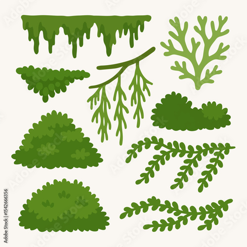 Jungle moss. Hanging and creeping lichen and moss, green moss plants flat vector illustration set. Cartoon rainy forest flora on white