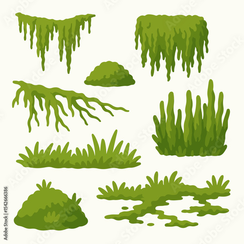 Jungle moss. Hanging and creeping lichen and moss, green moss plants flat vector illustration set. Cartoon rainy forest flora on white