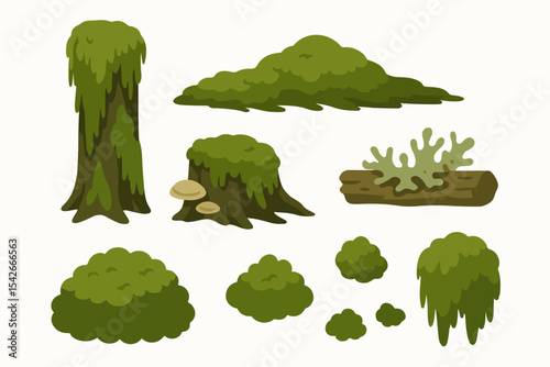 Swamp green moss. Moss plants growing on wood trunks, rainy forest lichen and fungus plants on rotten stumps flat vector illustration set. Cartoon moss collection