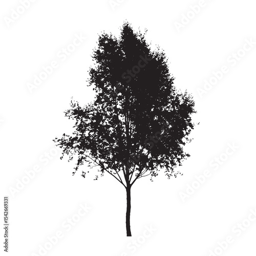 Single Aspen Tree Silhouette in Black