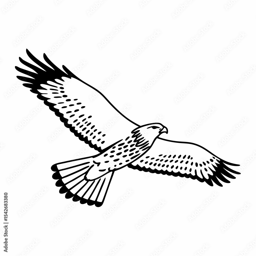 Fototapeta premium Falcon silhouette in details