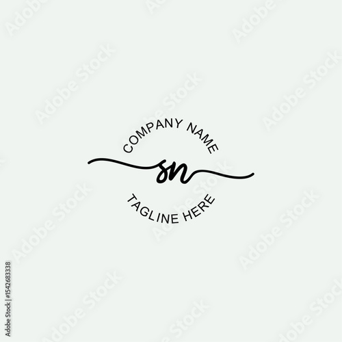 SN Initial Logo Design Vector Template