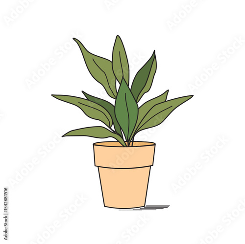 Indore plant vector illustration for home decoration.