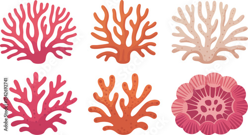 Coral reef illustration sea life ocean underwater marine biology vector art graphic design elements set editable stock vector illustration