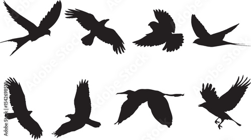 set of silhouettes of birds