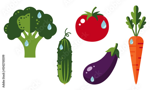 Fresh Washed Vegetables, broccoli, a cucumber, a red tomato, a purple eggplant, and an orange carrot, fresh and clean vegetable