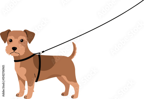 Cute dog with a leash on harness, pet walking illustration