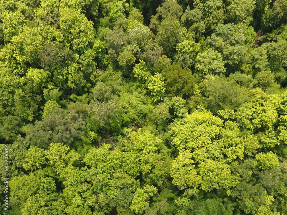 Naklejka premium Top View Aerial Photograph
