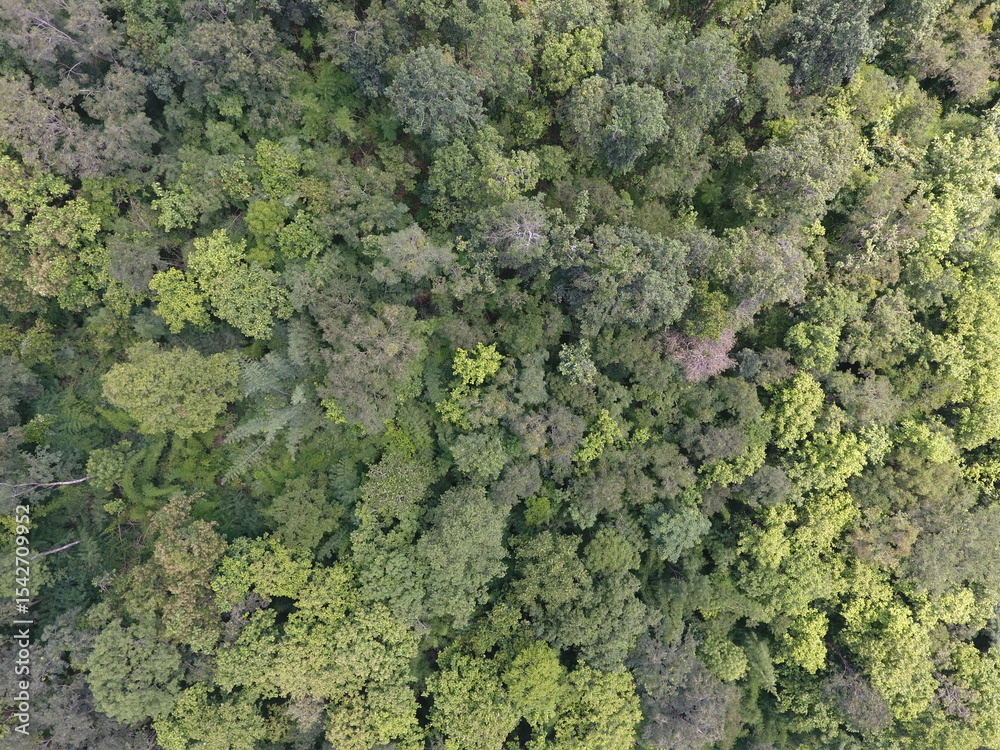 Naklejka premium Top View Aerial Photograph