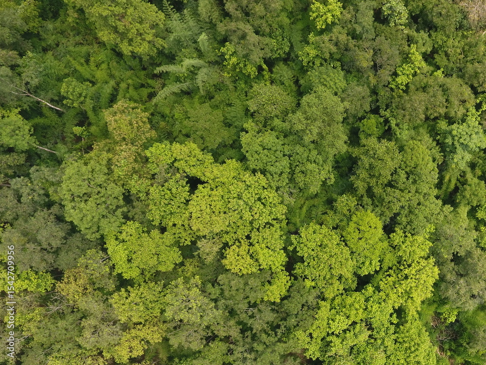 Naklejka premium Top View Aerial Photograph