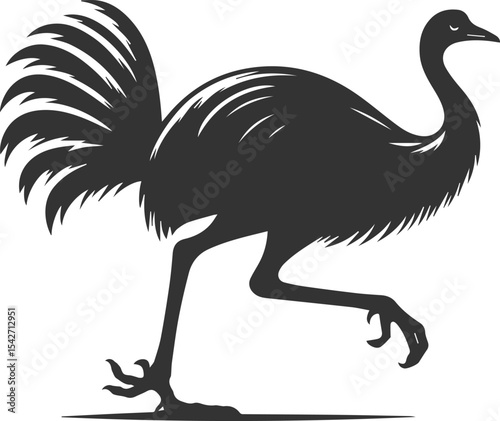 Black illustration vector of a cassowary bird silhouette drawing