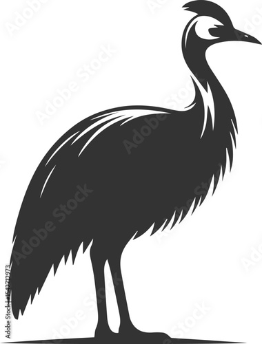 Black illustration vector of a cassowary bird silhouette drawing