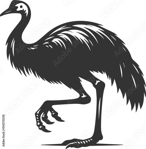 Black illustration vector of a cassowary bird silhouette drawing