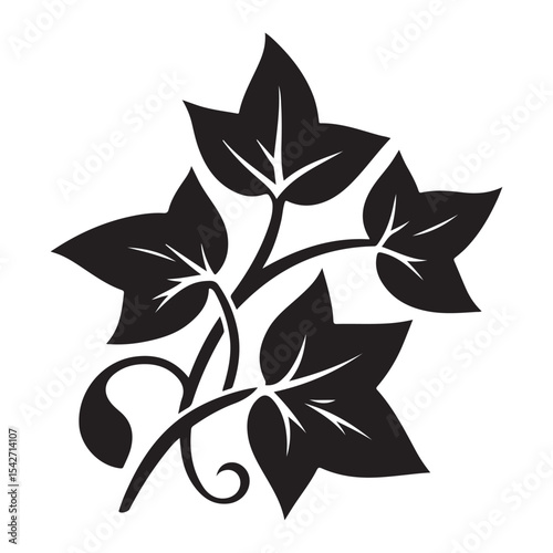 Ivy leaf plant climbing nature silhouette botanical illustration vector art
