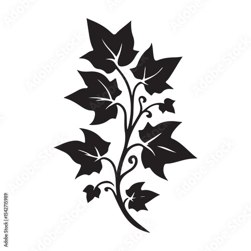 Detailed Ivy Vine Silhouette Vector Illustration Climbing Plant Design