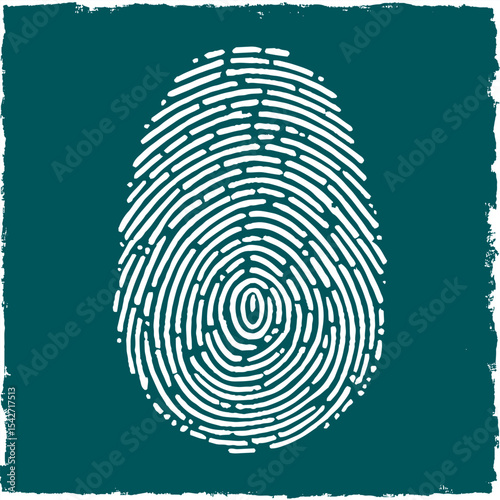 vector fingerprint