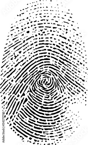 Fingerprint texture on white background. Digital procedure generated. Realistic with pores and scratches. Clean high resolution image. Good for biometrics and dataloscopy concepts.