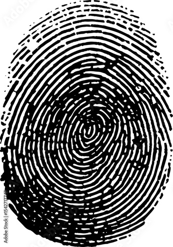 Fingerprint texture on white background. Digital procedure generated. Realistic with pores and scratches. Clean high resolution image. Good for biometrics and dataloscopy concepts.