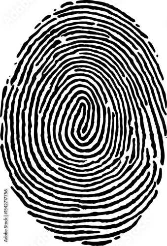 Real fingerprint in white background Super macro. Vector illustration.