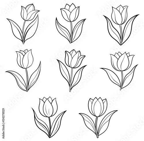 Set Of tulip  vector illustration
