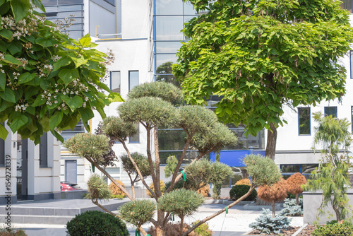 Street view of a modern office building with plants and trees in the front, a well-designed garden