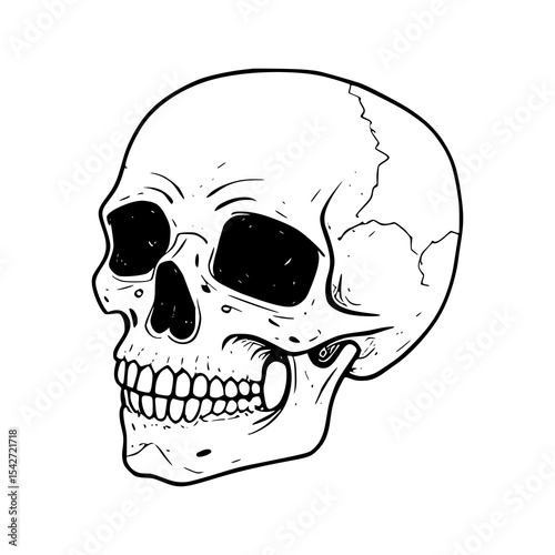 A human skull and crossbones vector illustration, a scary symbol of death and danger, perfect for Halloween or pirate-themed designs