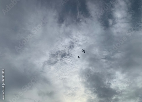 A sky with dark clouds and birds flying.