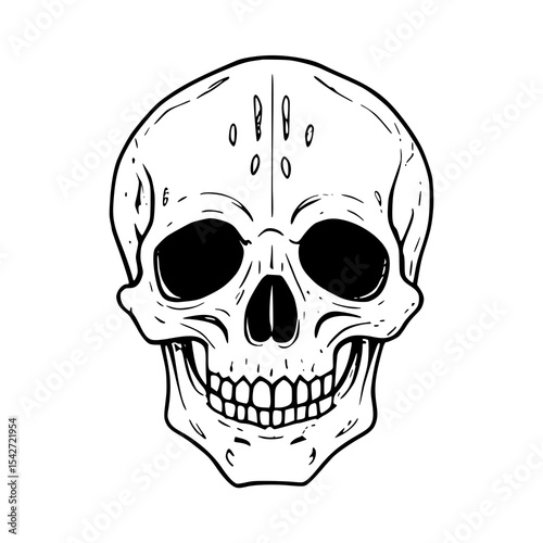 human skull vector illustration