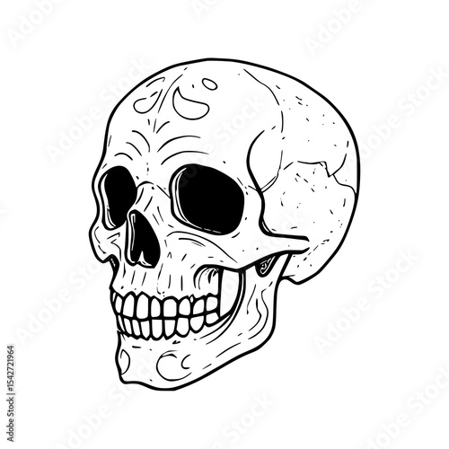 Stylized human skull and crossbones vector illustration, perfect for themes of death, danger, or Halloween
