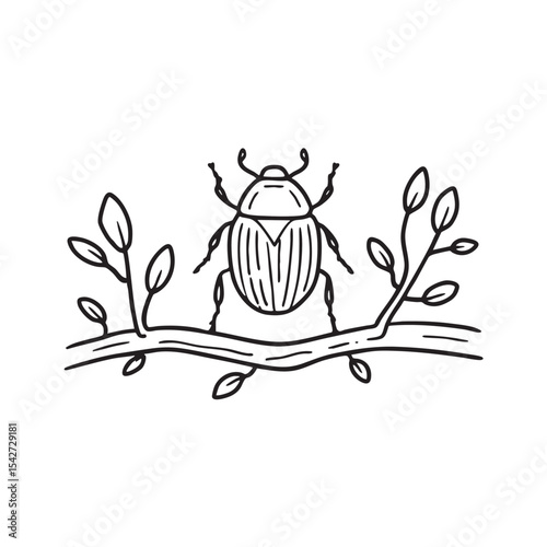 A bug moving across fallen twigs in the underbrush