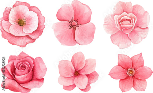 set of pink flowers