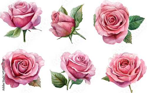 bouquet of roses