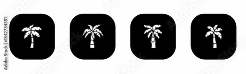 Coconut palm icon in flat. A coconut palm icon design. Stock vector.