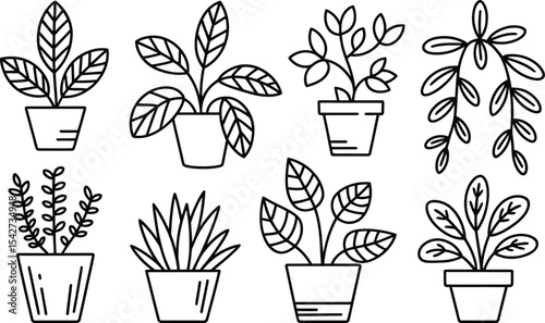 Assorted houseplants in pots black and white line art collection