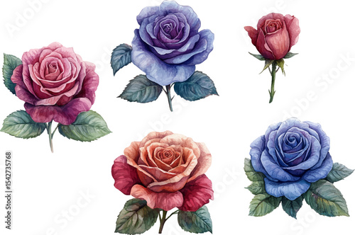 bouquet of roses