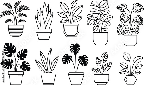 Collection of potted house plants in minimalist line art style design