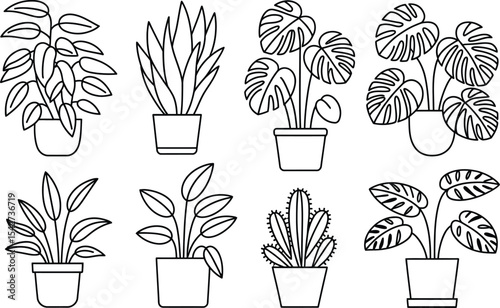 Collection of line art potted plants illustration for decoration