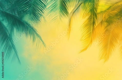 Palm leaves silhouettes against a vibrant sunset sky
