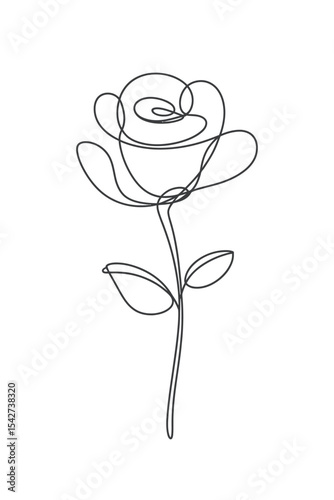 Single Line Drawing Minimalist Rose Flower