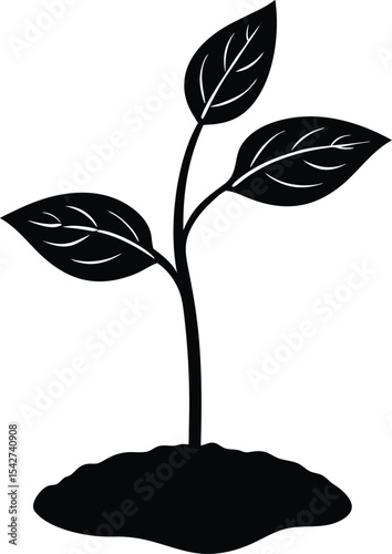 Black Plant Sprout Silhouette On White Background
