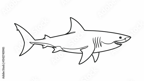 Line Art Great White Shark Illustration