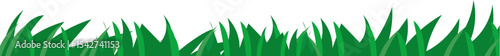 Green Grass Blade Border vector border for nature, spring, landscape, and garden decoration