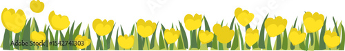Yellow Flower Line Border vector border for nature, spring, landscape, and garden decoration