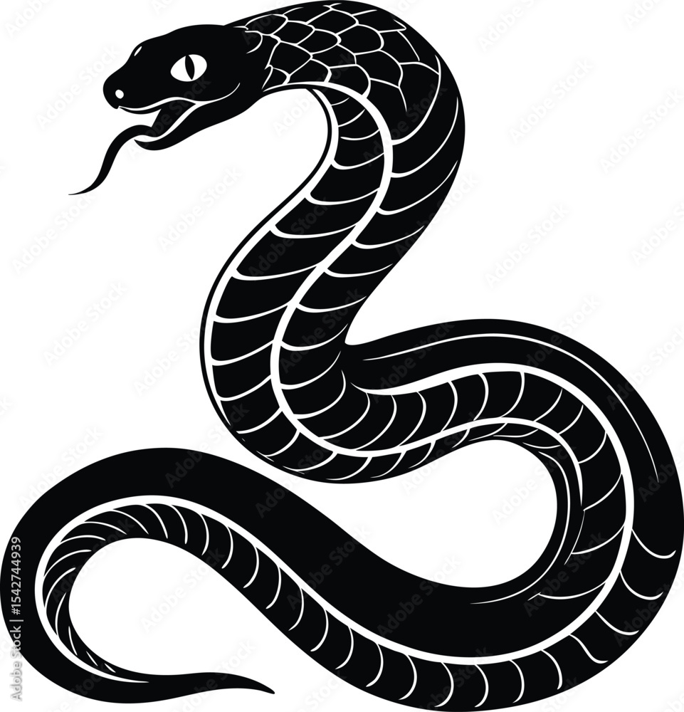 Obraz premium You might also like these vectors 